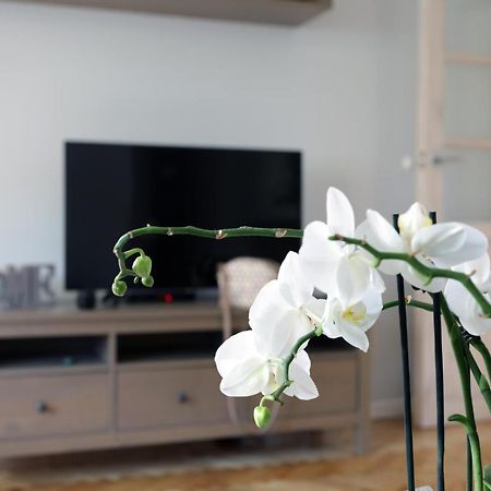 Apartament Turkus Στσέτσιν Εξωτερικό φωτογραφία