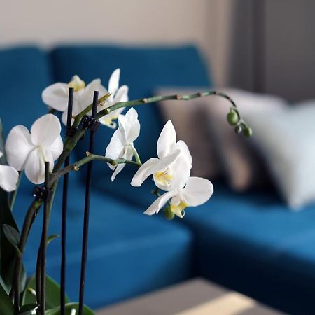 Apartament Turkus Στσέτσιν Εξωτερικό φωτογραφία