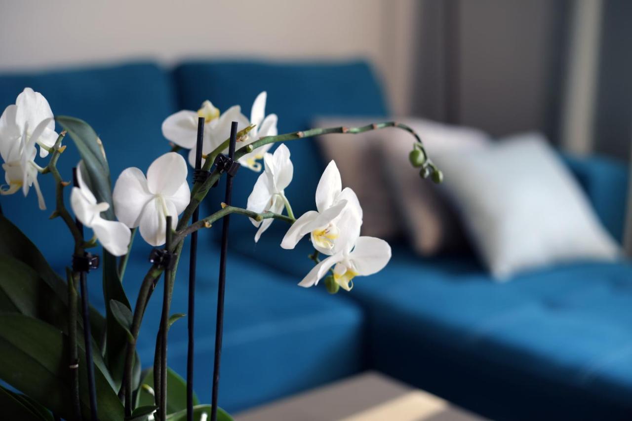 Apartament Turkus Στσέτσιν Εξωτερικό φωτογραφία